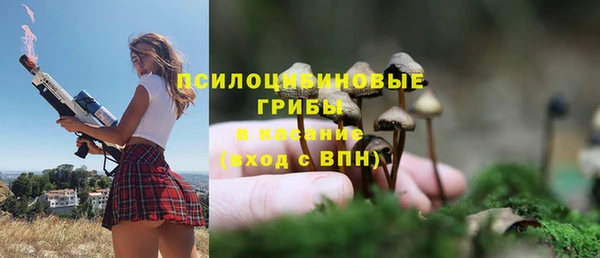 шишки Алзамай