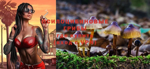 a pvp Алексеевка