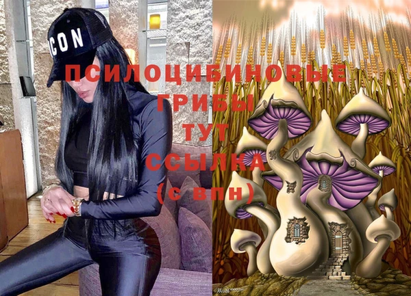 шишки Алзамай