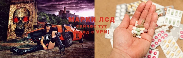 шишки Алзамай