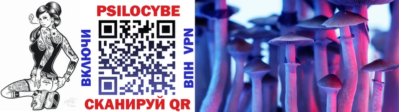 Галлюциногенные грибы Psilocybe  магазин продажи   Минусинск 