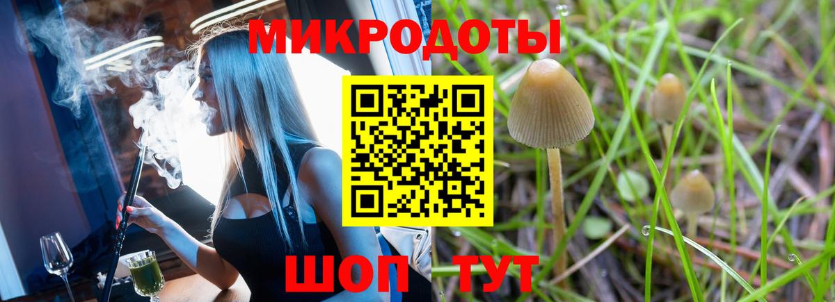 Галлюциногенные грибы прущие грибы Минусинск