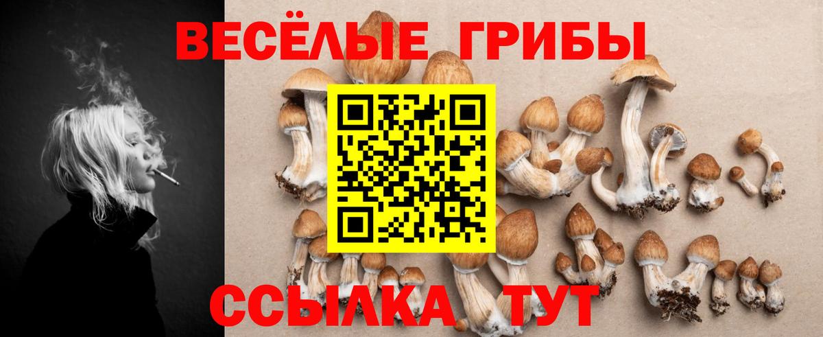 Галлюциногенные грибы прущие грибы  Вход с VPN  Минусинск 